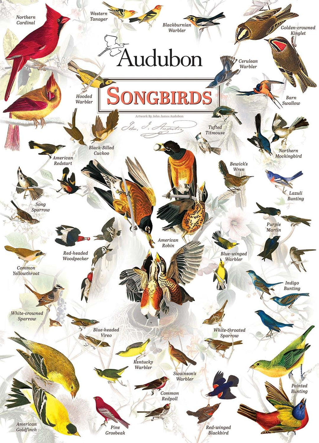 Audubon Songbirds 1000 Piece Puzzle