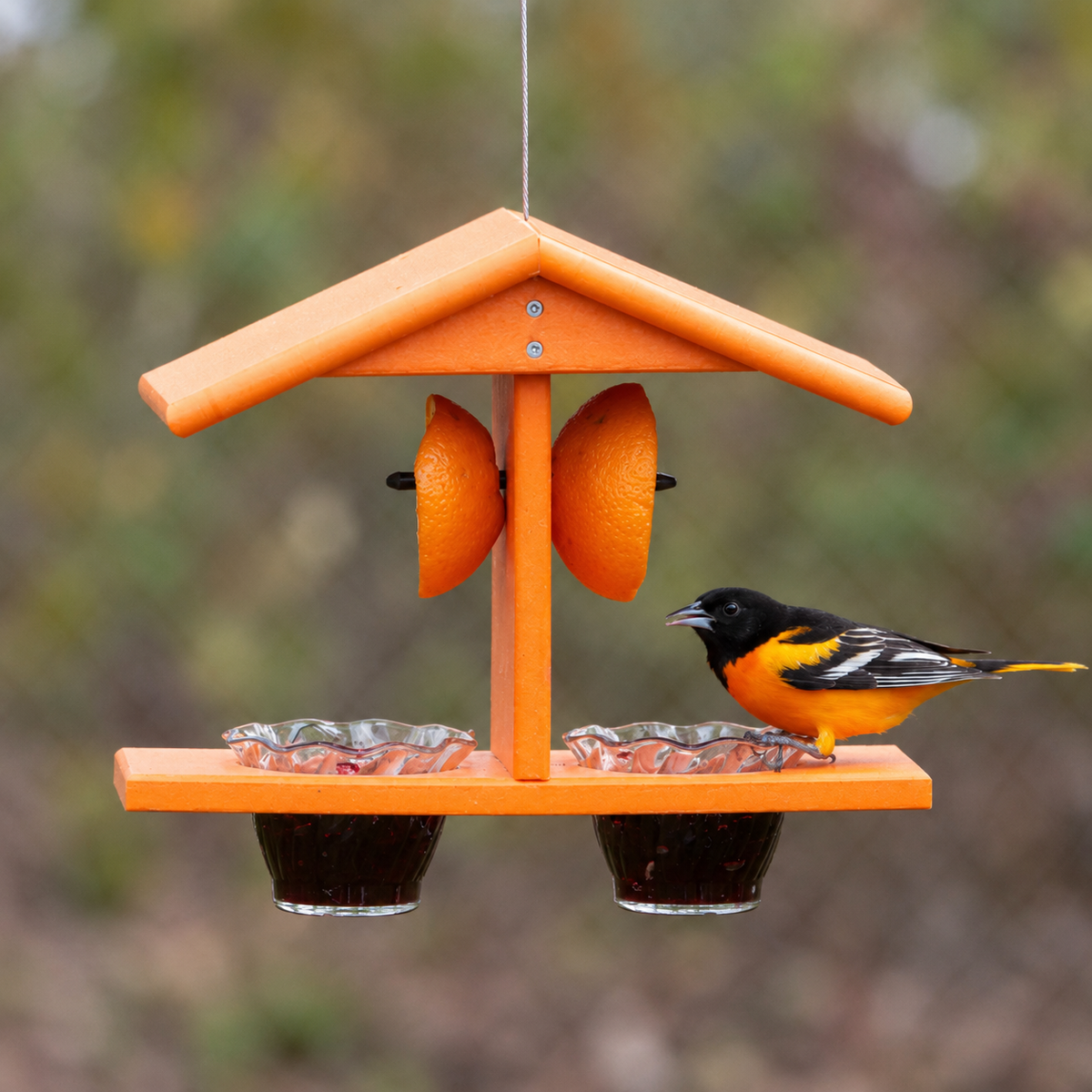 Amish-Made Double-Cup Oriole Jelly & Orange Bird Feeder
