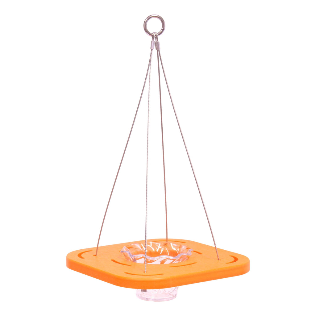 Amish-Made Oriole Jelly Feeder