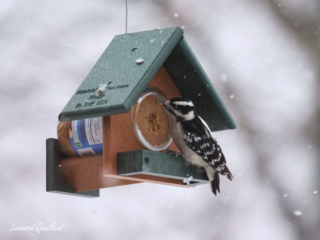 Amish-Made Peanut Butter Bird Feeder