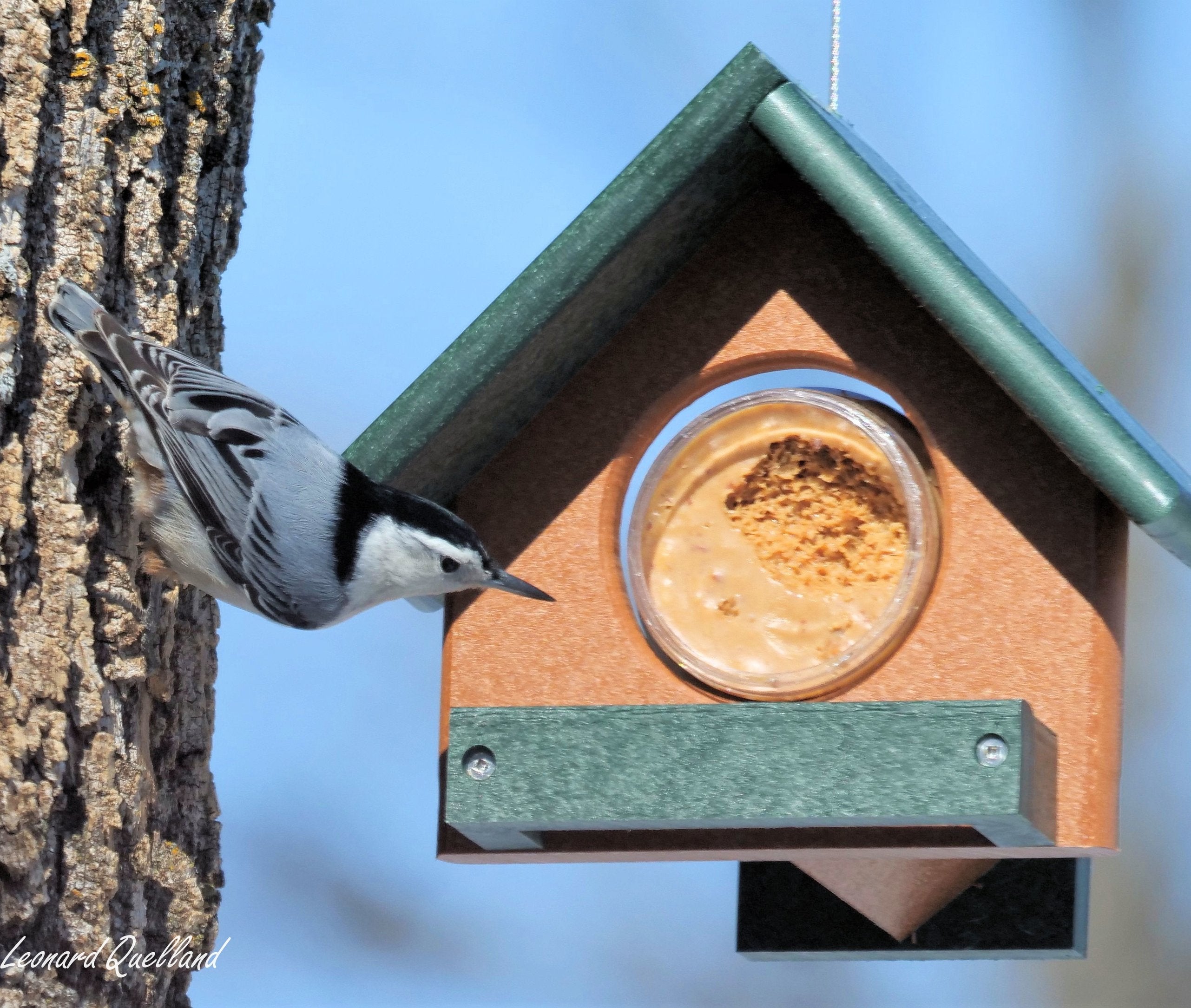 Amish-Made Peanut Butter Bird Feeder