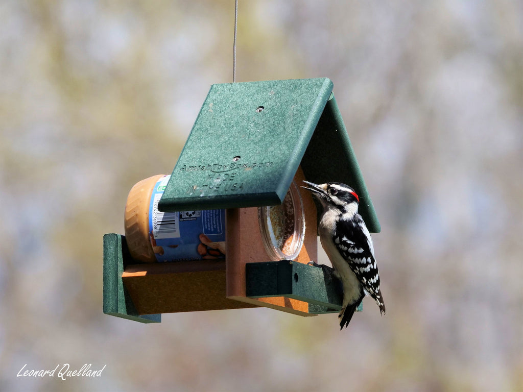 Amish-Made Peanut Butter Bird Feeder