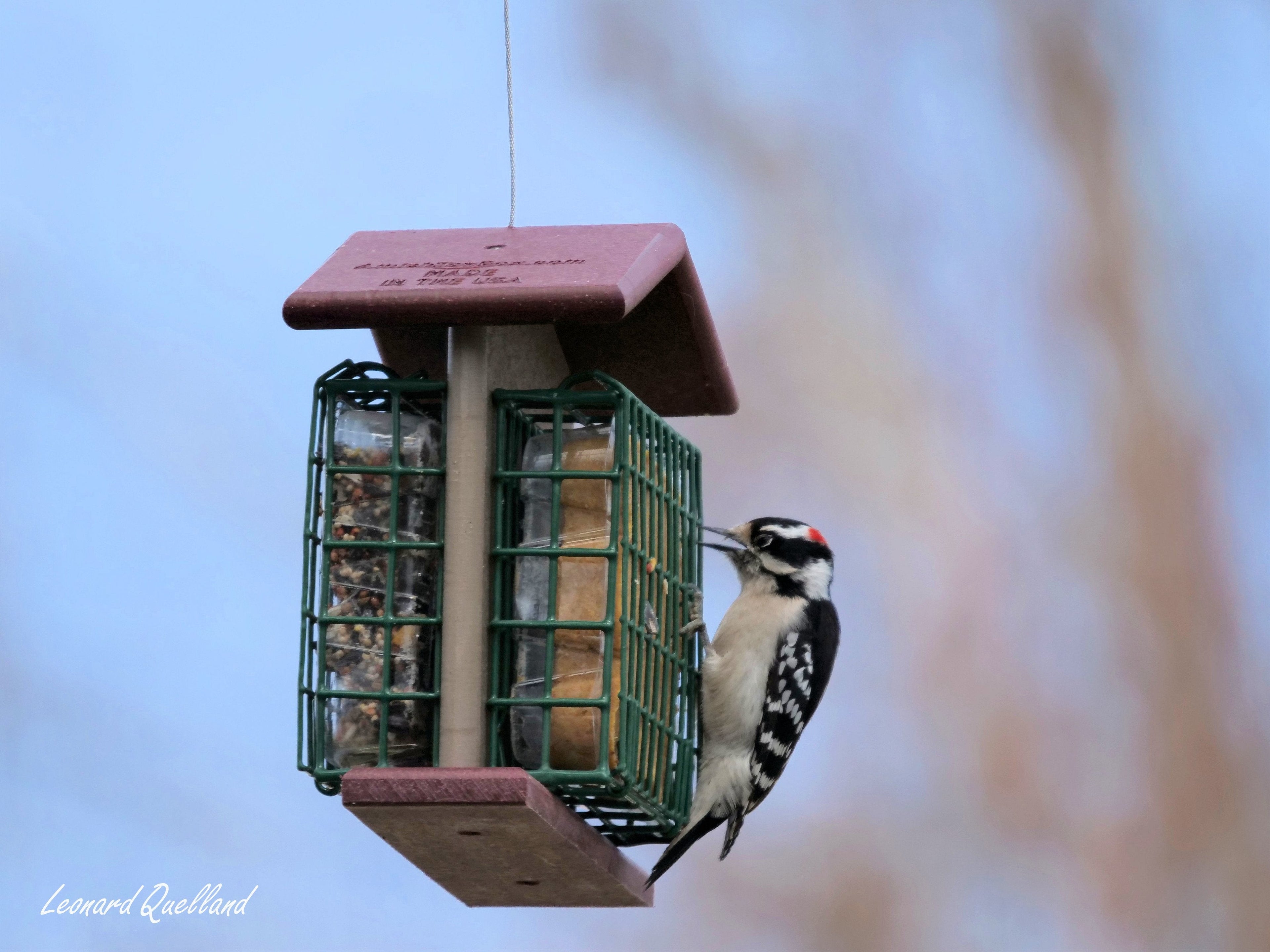 Amish-Made Double Suet Bird Feeder