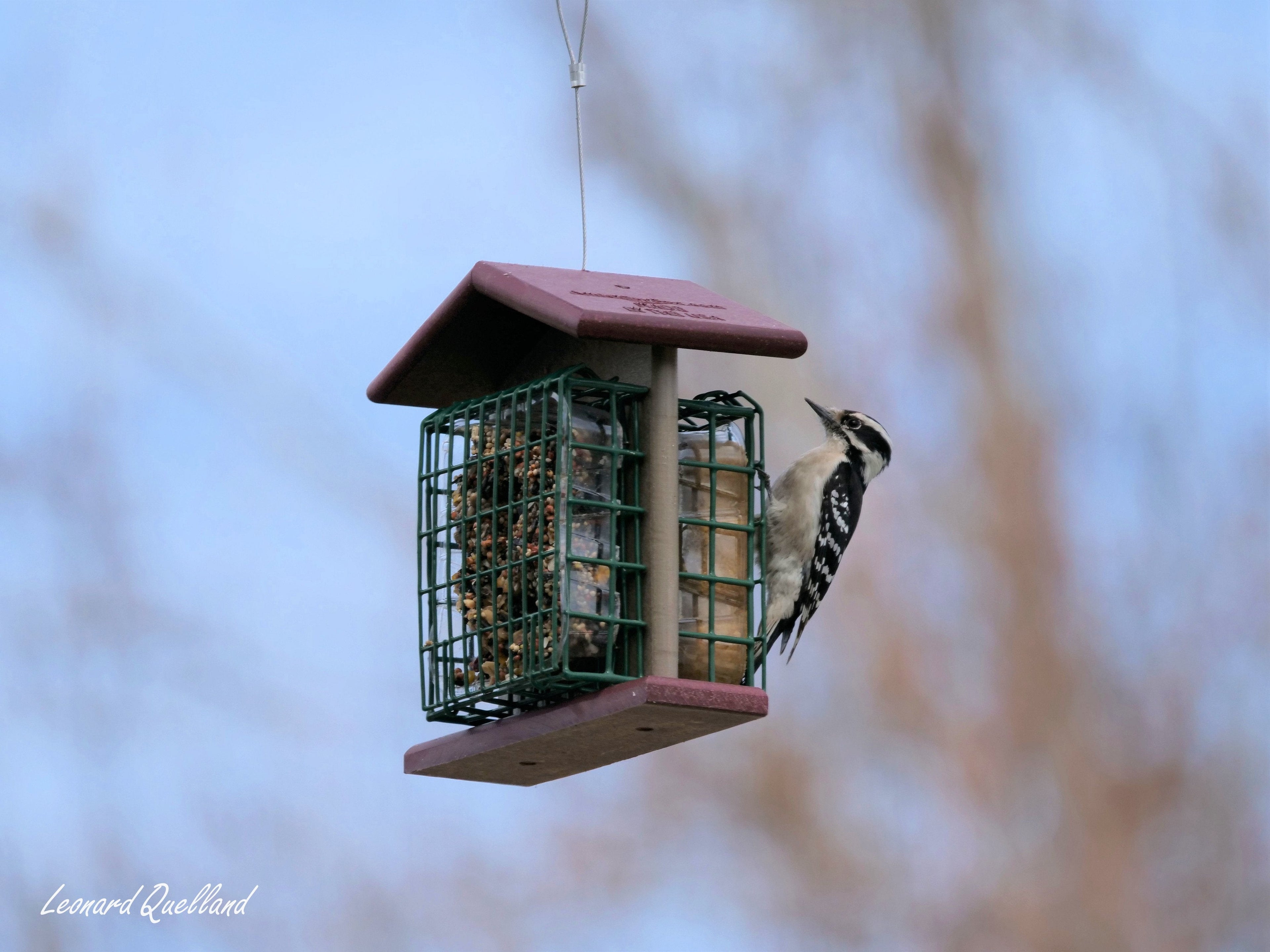Amish-Made Double Suet Bird Feeder