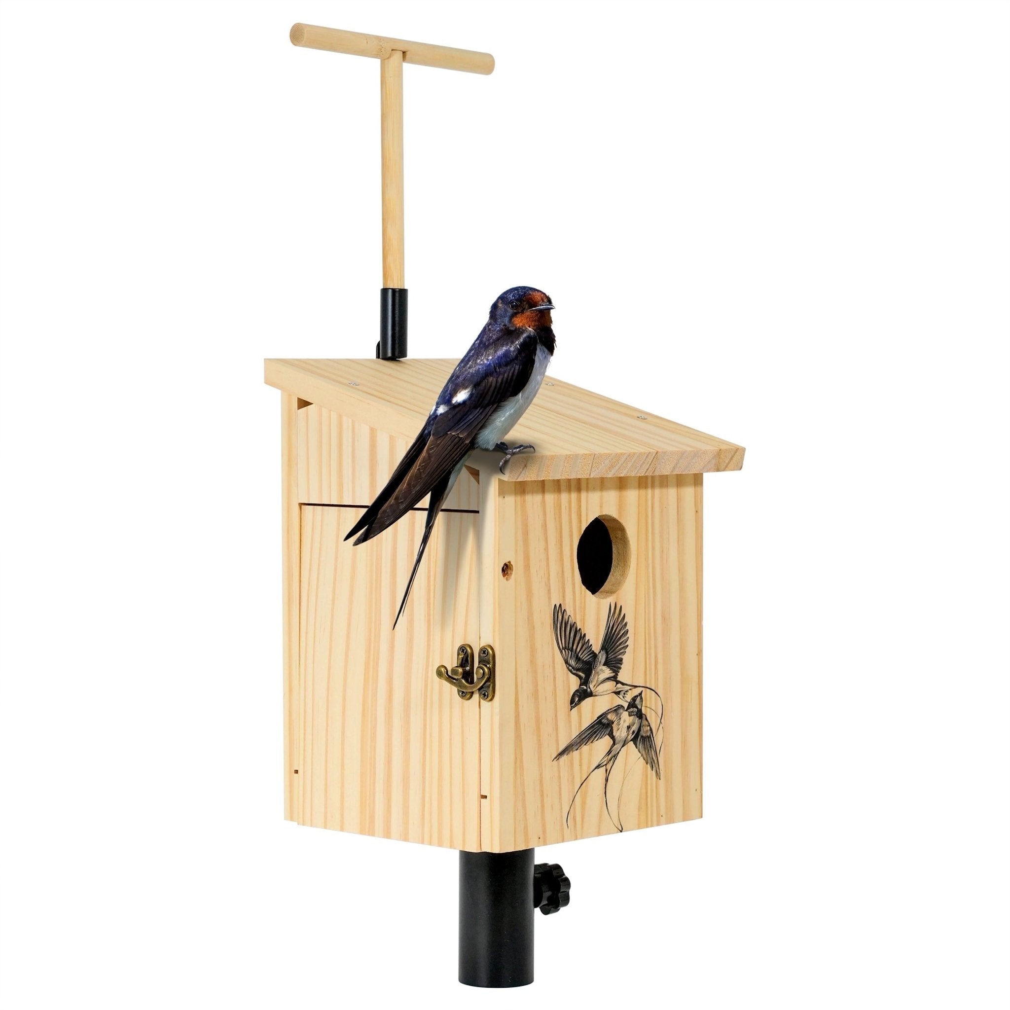 Tree Swallow Bird House